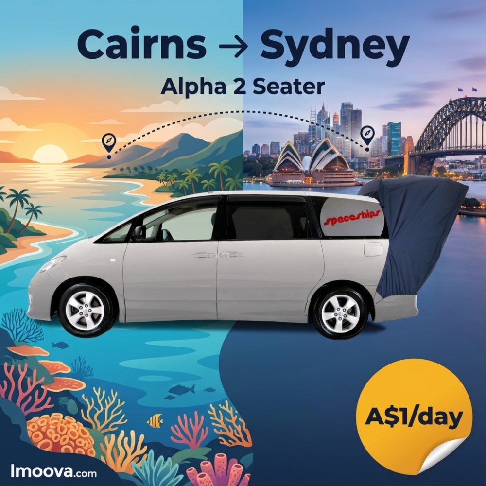 Alpha 2 Seater - image 1