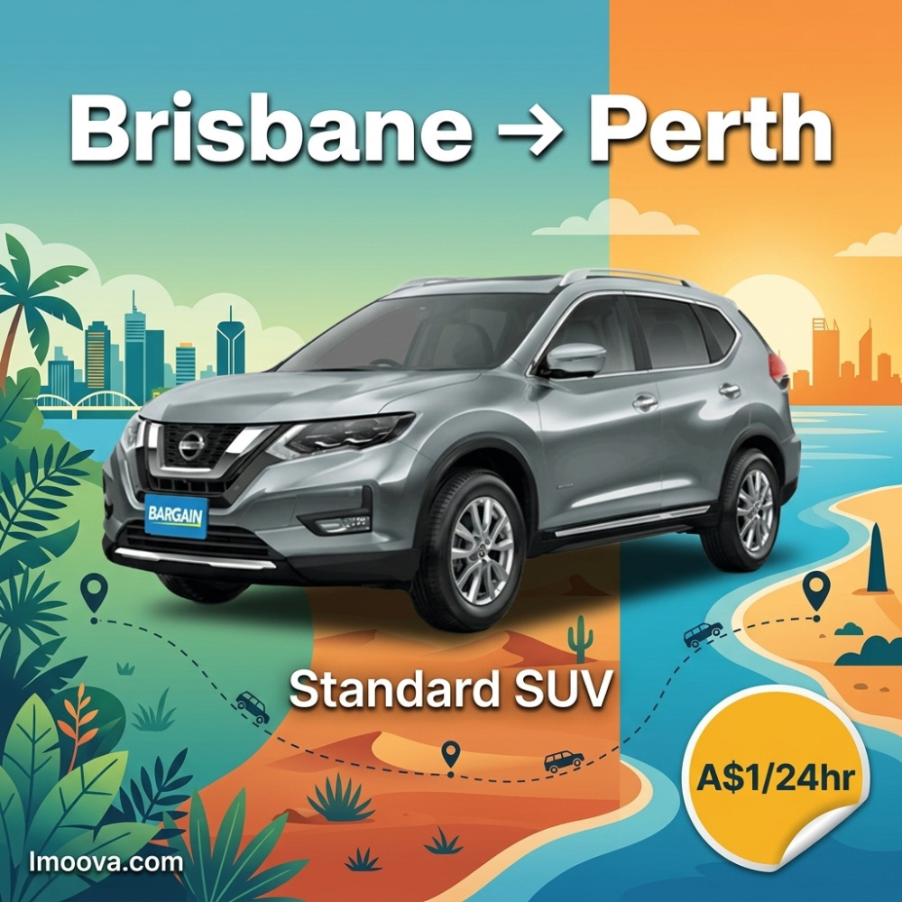 Standard SUV - image 1