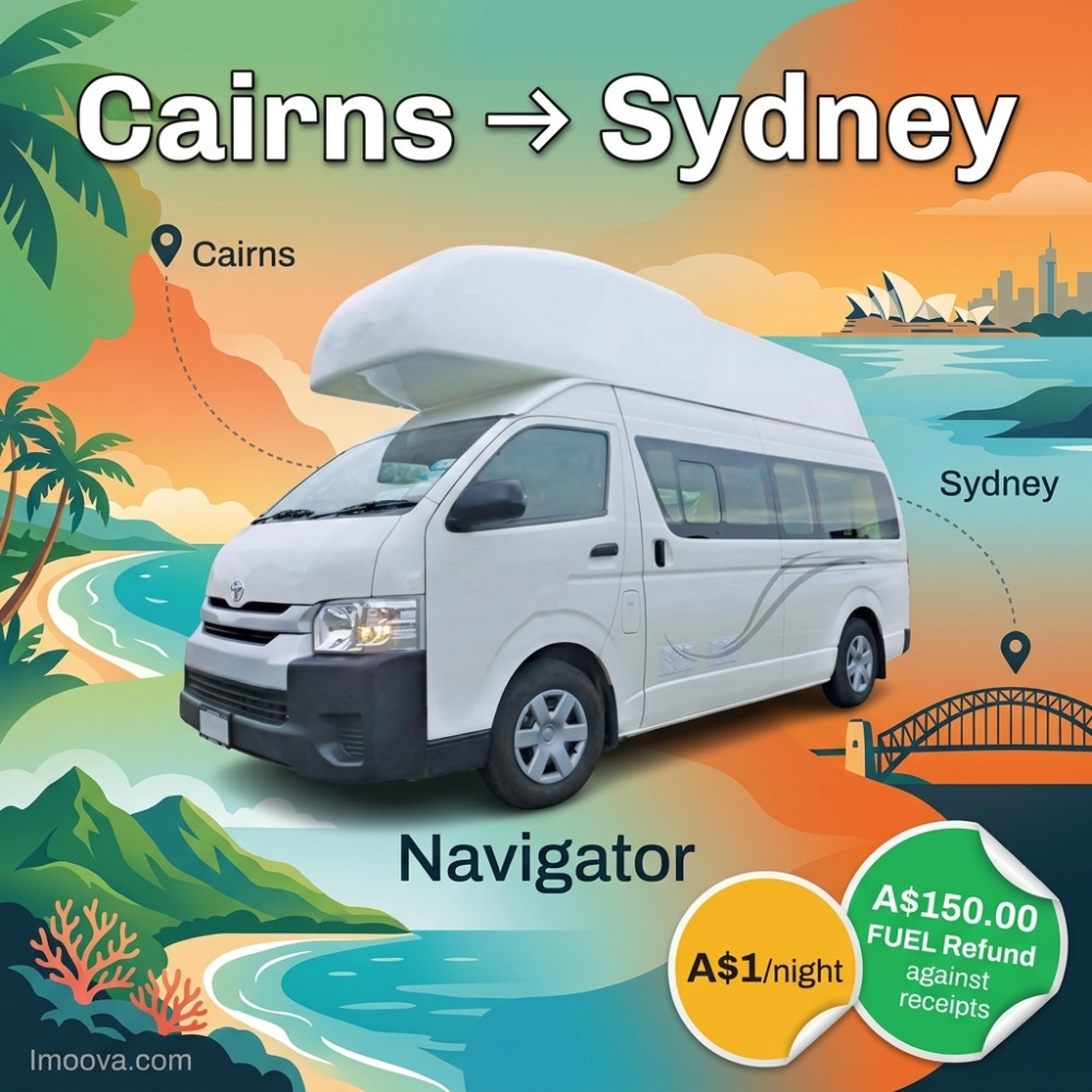 Navigator - image 1