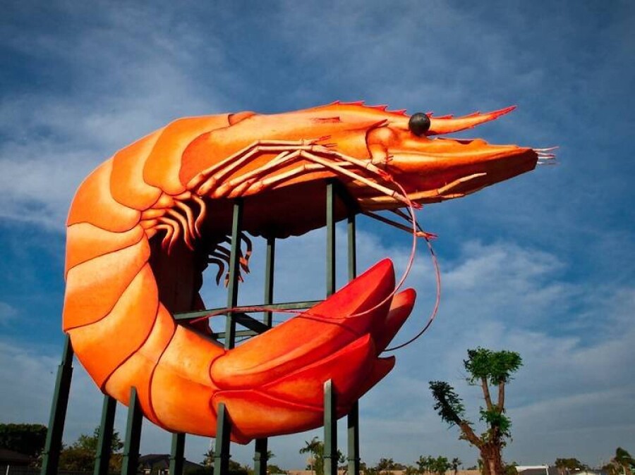 If you've ever driven in Australia you're bound to have spotted one of the 'big things'! There are apparently between 150-300 dotted around the country.