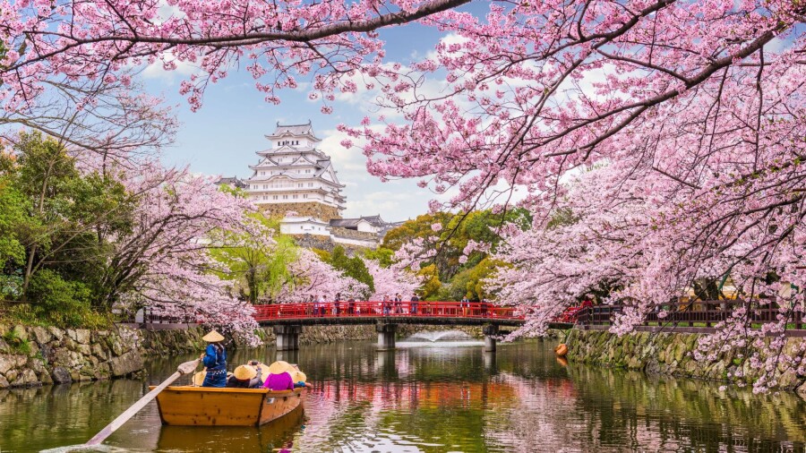 Think Japan is too expensive? Think again. With a few insider tricks you can travel Japan โ from ancient temples to neon cities โ without blowing your budget.