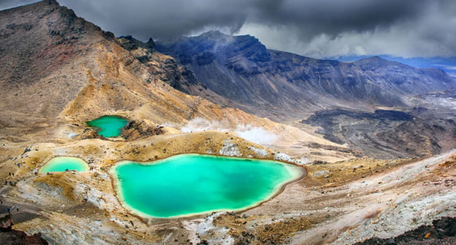 One thing New Zealand has lots of is national parks! If you're planning a NZ road trip then check out Imoova's guide to the country's must-visit national parks.